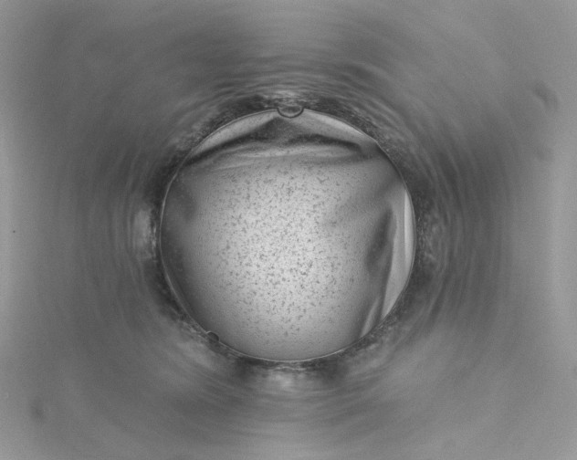 X0000115380420200911171439