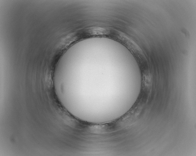 X0000115380422200911171439