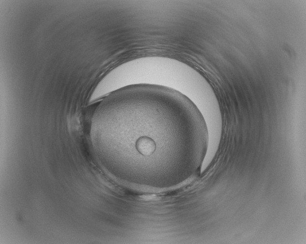 X0000115380425200911171439