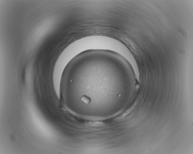 X0000115380429200911171439