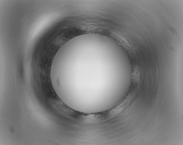 X0000115380430200911171439