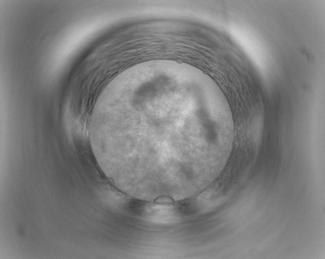 X0000115380431200911171439