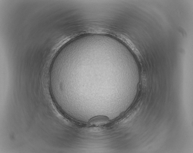 X0000115380433200911171438