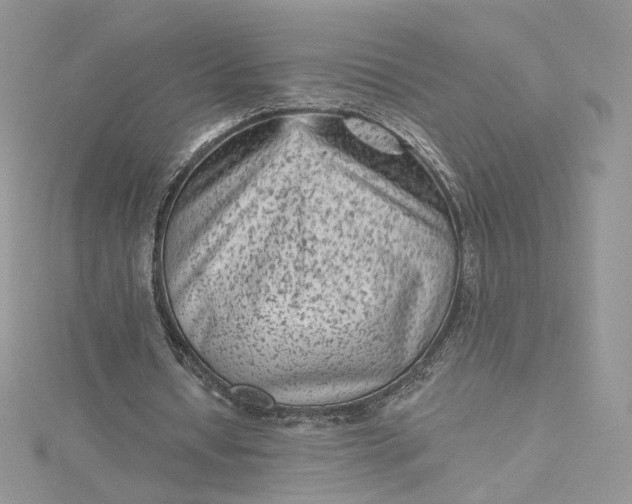 X0000115380434200911171438