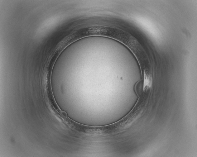 X0000115380435200911171438