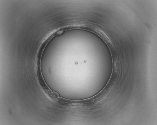 X0000115380436200911171438