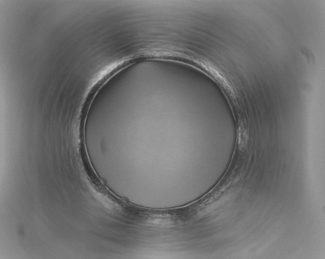 X0000115380438200911171438