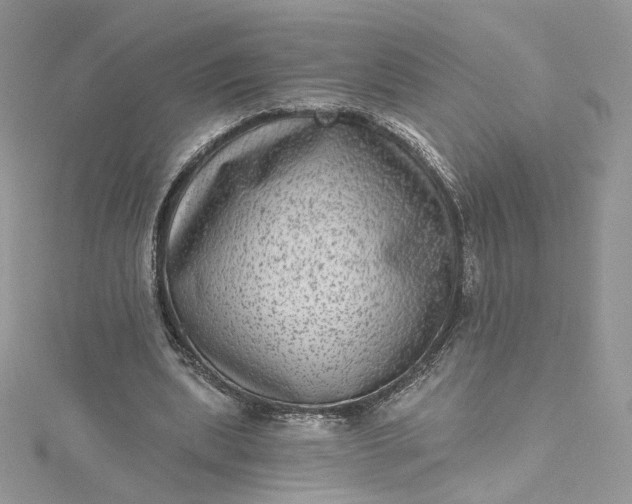 X0000115380439200911171438