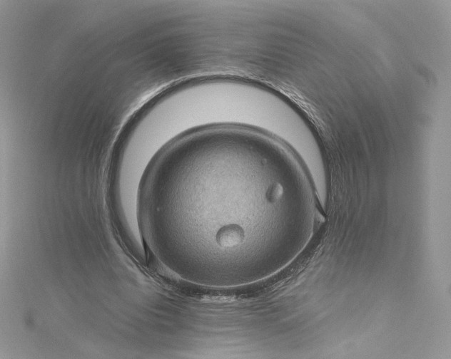 X0000115380440200911171438