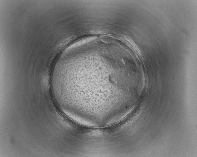 X0000115380441200911171438