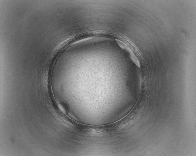 X0000115380442200911171438