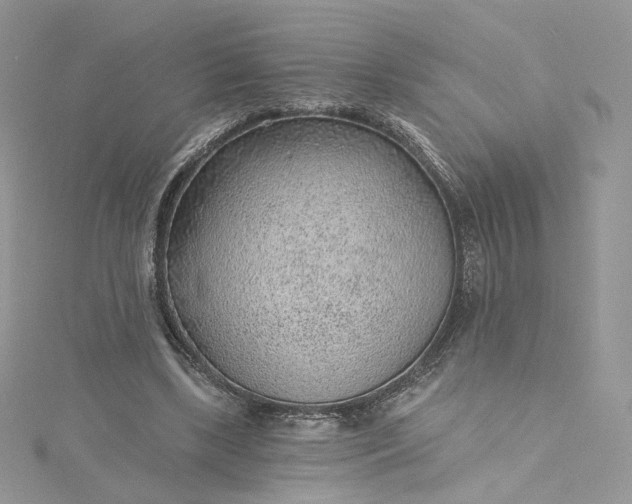 X0000115380443200911171438