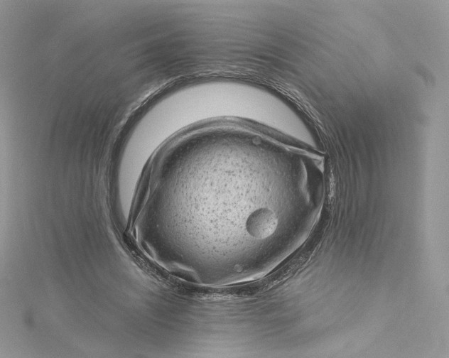 X0000115380444200911171439