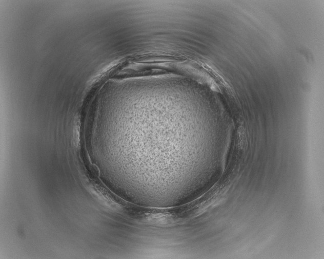 X0000115380446200911171439