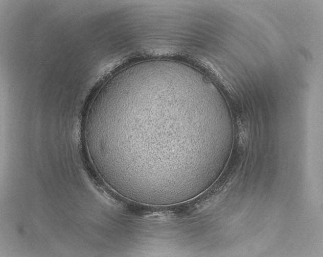 X0000115380447200911171439