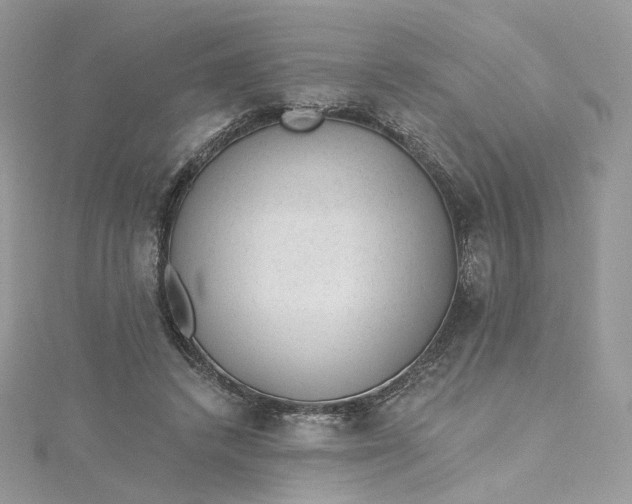 X0000115380448200911171439