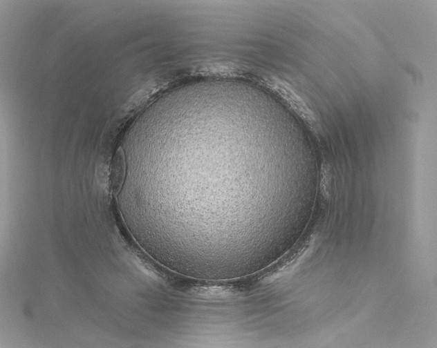 X0000115380449200911171439