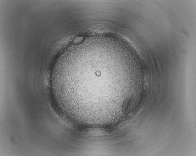 X0000115380451200911171439