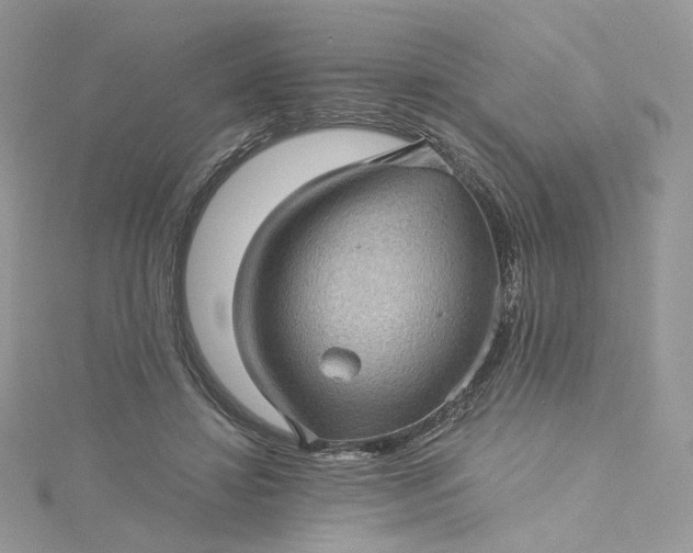 X0000115380452200911171439