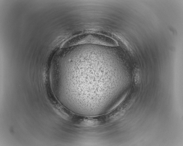 X0000115380455200911171439