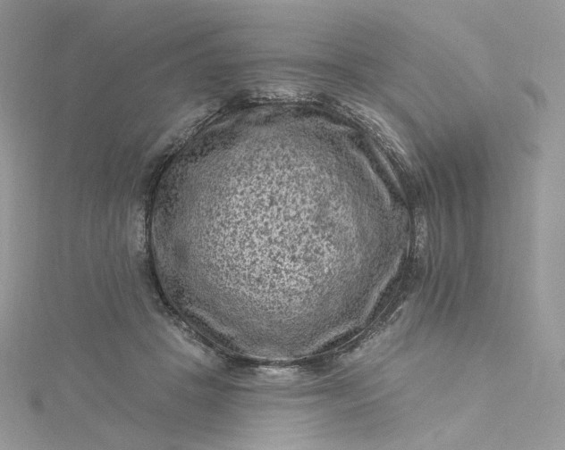 X0000115380457200911171439