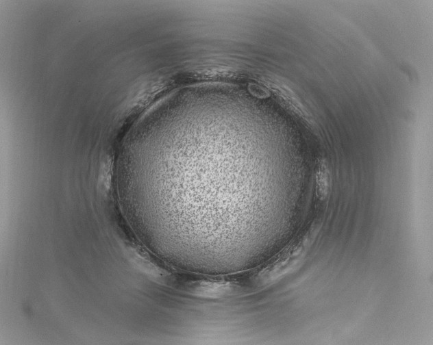 X0000115380458200911171439