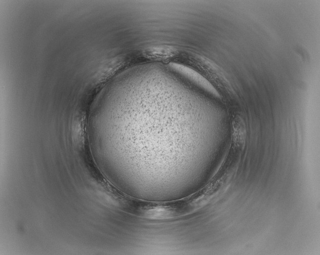 X0000115380460200911171439