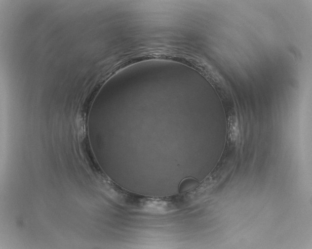 X0000115380471200911171439