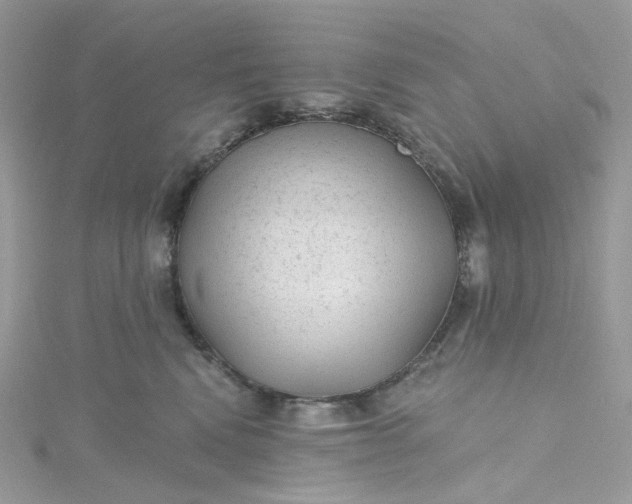 X0000115380472200911171439