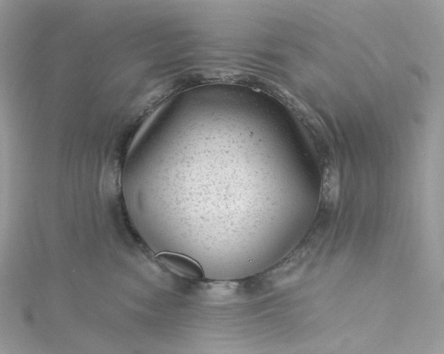 X0000115380474200911171439