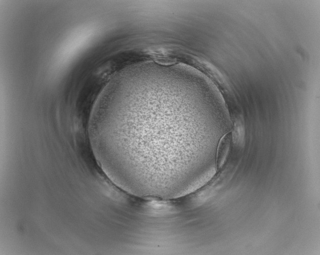 X0000115380477200911171439