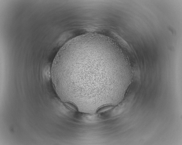 X0000115380479200911171439