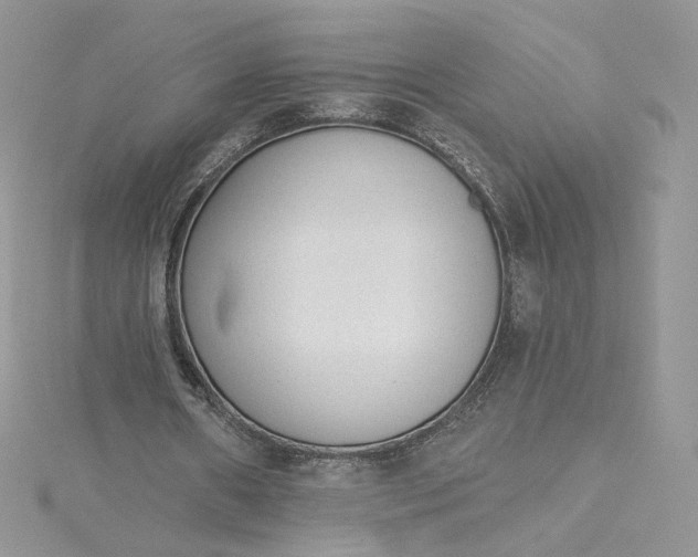 X0000115380482200911171438