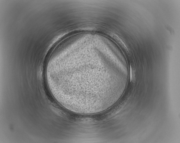 X0000115380483200911171438