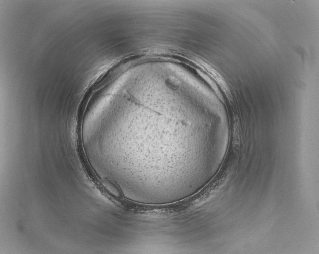 X0000115380485200911171438