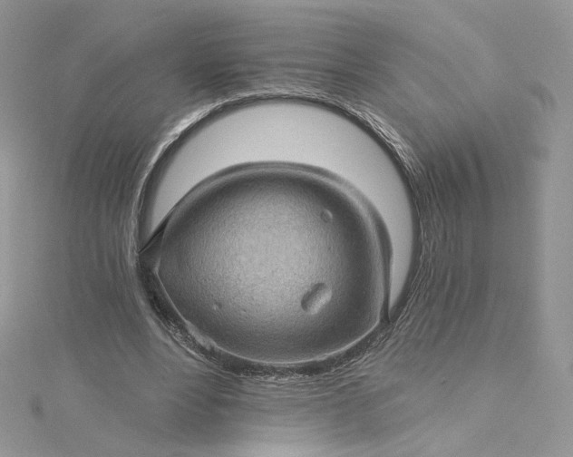 X0000115380488200911171438