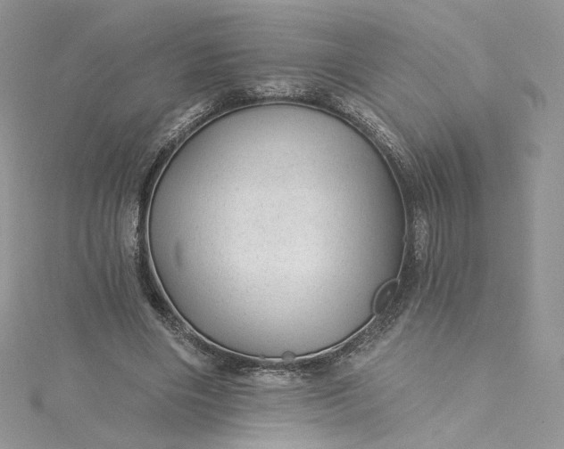 X0000115380490200911171438