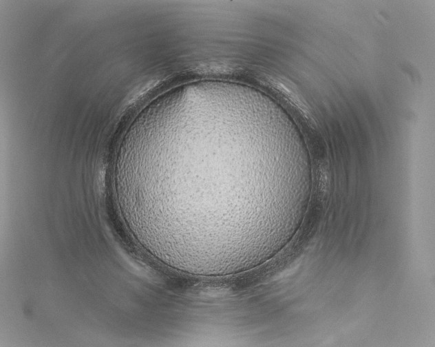 X0000115380491200911171438