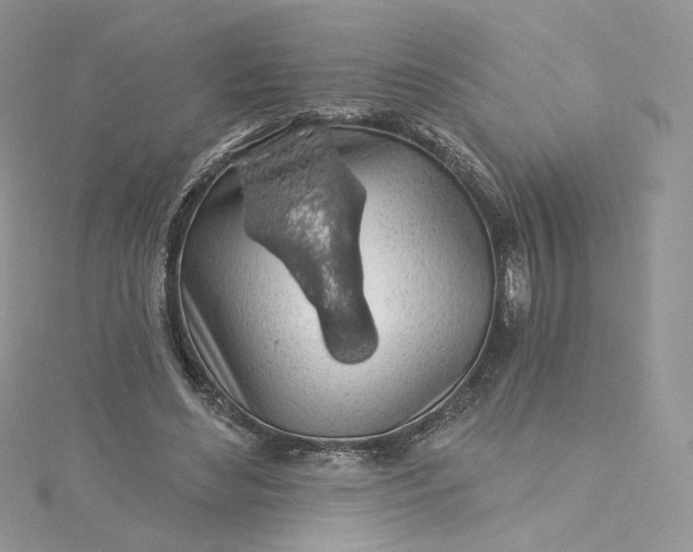 X0000115380492200911171438