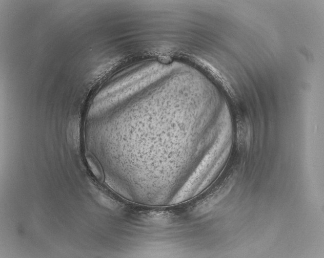 X0000115380493200911171438