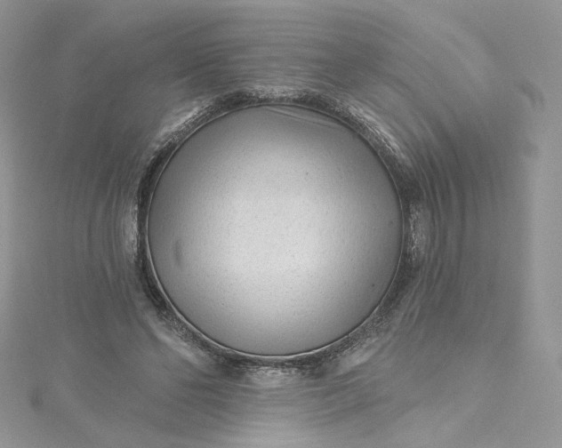 X0000115380494200911171438