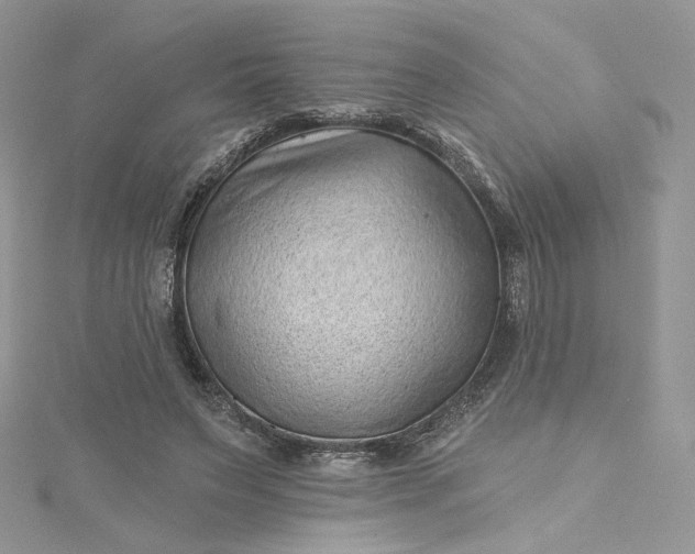 X0000115380495200911171438