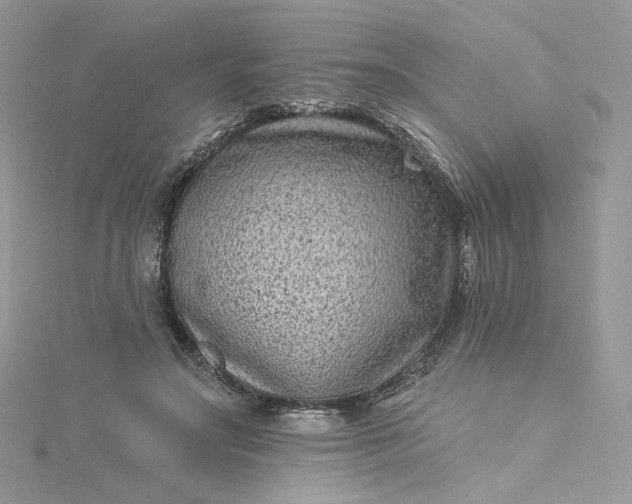 X0000115380499200911171438