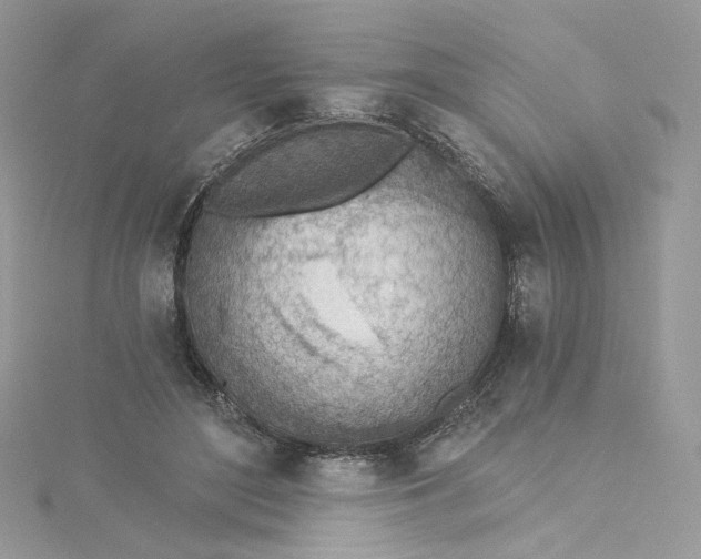 X0000115380500200911171438