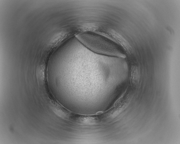 X0000115380501200911171438