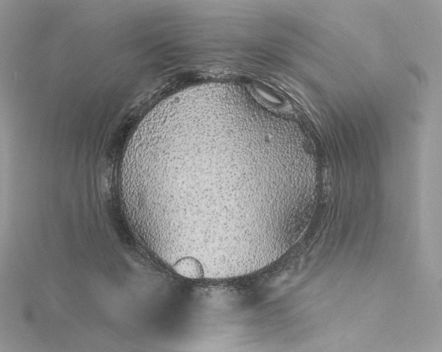 X0000115380503200911171438