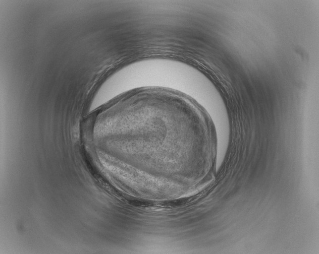 X0000115380504200911171438