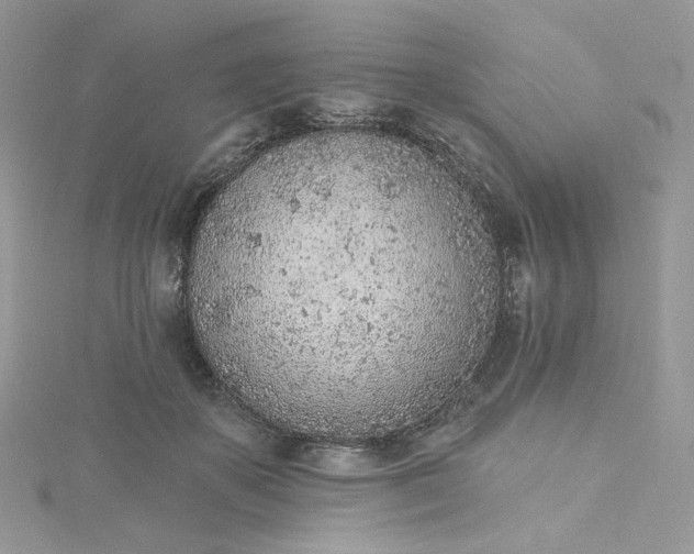 X0000115380507200911171438