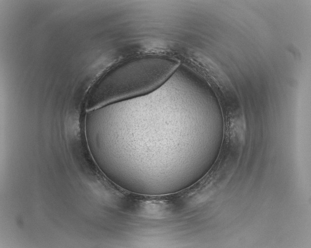 X0000115380508200911171438