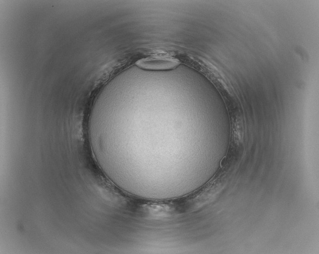 X0000115380512200911171438